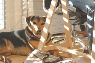 Creating a Work Life Balance When You Work from Home