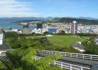Wellington Business Networking Groups