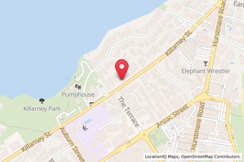 29 Killarney Street,Takapuna,Auckland,North Island,New Zealand