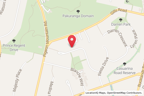 3/31,lisa rise,halfmoon bay,auckland,New Zealand