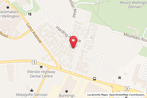 12 Harding Avenue,Mount Wellington,Auckland,North Island,New Zealand