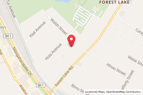 3A Walsh Street,Forest Lake,Hamilton,North Island,New Zealand