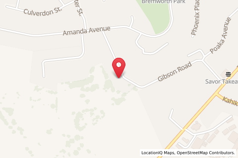 55 Gibson Road,Dinsdale,Hamilton,North Island,New Zealand